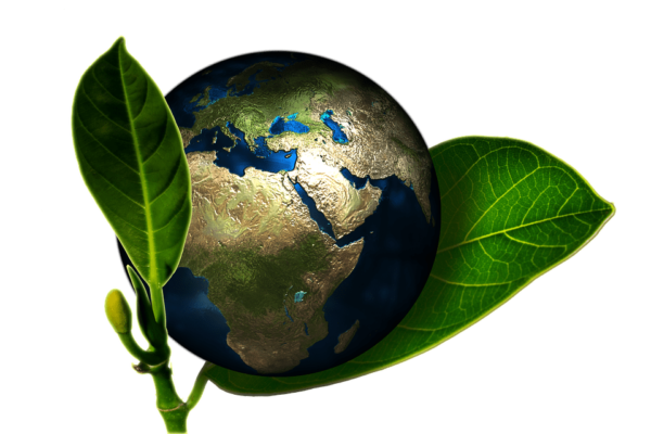 környezetbarát környezetbarát